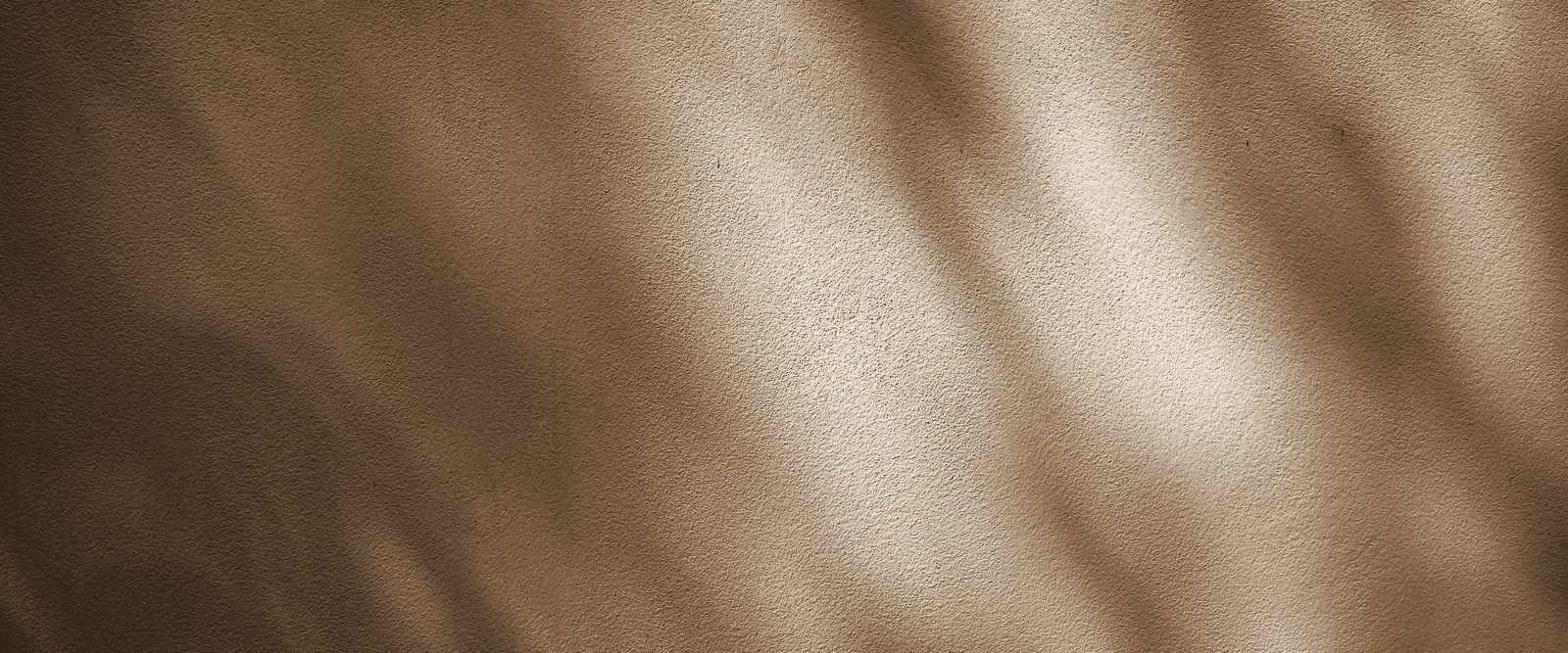 Shadows of leaves cast across a sunlit wall, in warm bronze